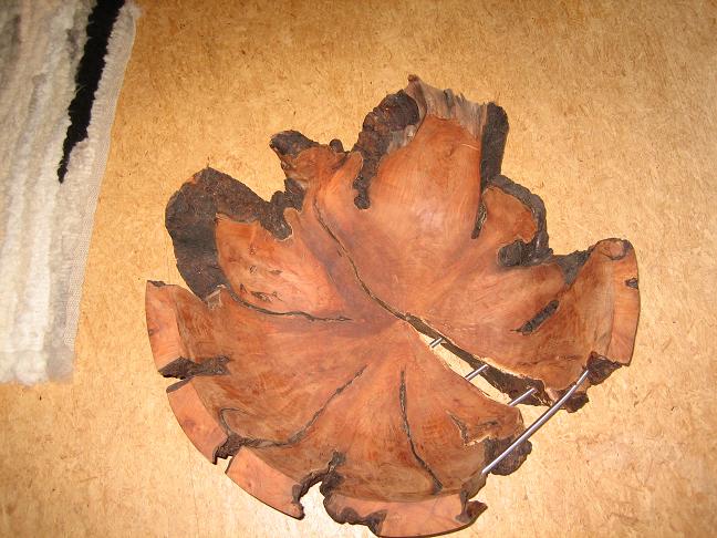 Bild
