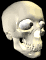 Benutzeravatar