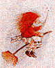 Benutzeravatar