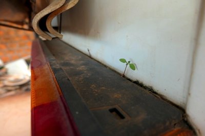 zzP1021077.jpg
