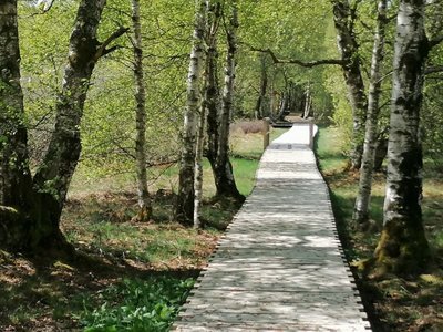 13023 Schwarzes Moor.jpg