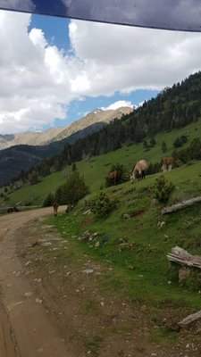Schmugglerweg