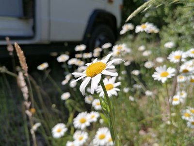 13043 Donautal 2.jpg