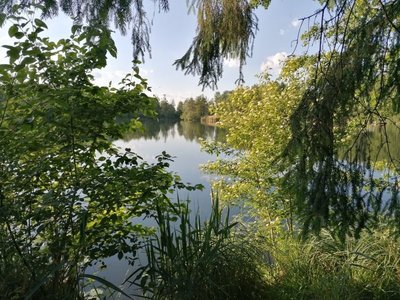 13043 Donautal3.jpg