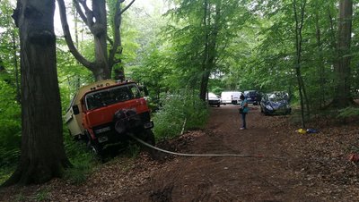 im Wald versenkt.jpg