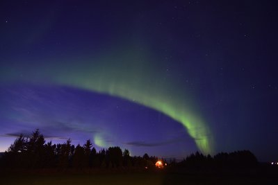 _DSC2893.jpg