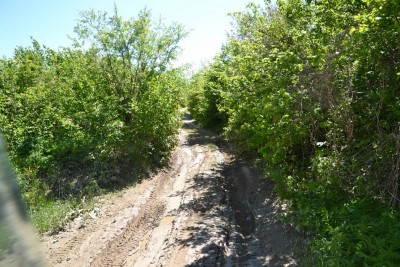 2012-06-04_14-41-26.jpg