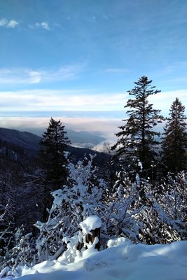 Über den Wolken...