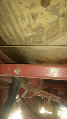 IMG_20201229_115246_2.jpg