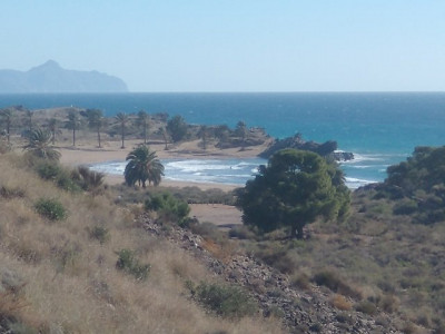 13292 Playa de Percheles 2.jpg