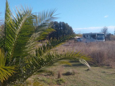 13296 Finca 1.jpg