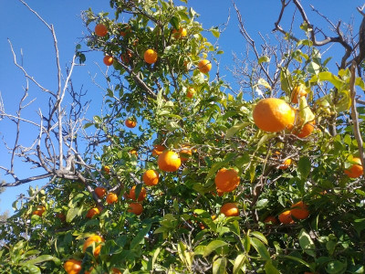 13296 Finca 3.jpg