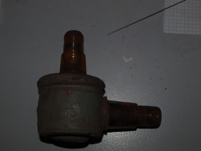 K1024_P5170899.JPG