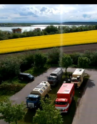 Euro-Biene am see