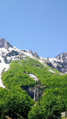 IMG_20210525_115517_copy_794x1414.jpg