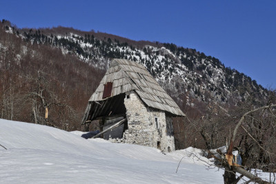P1030892verbessert.jpg