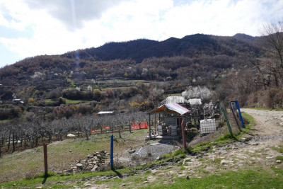 P1040523.JPG