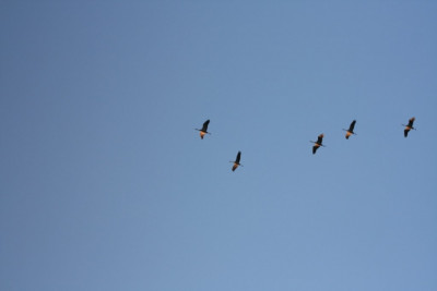 IMG_0746.jpg