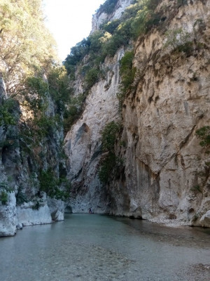 Acharon