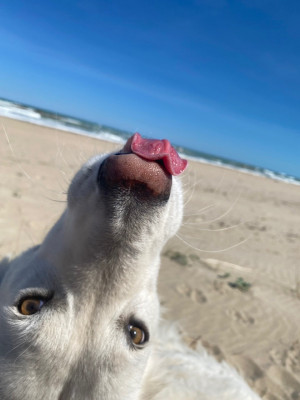 4C972771-5AB7-4BD6-814D-F65E147277E5.jpeg