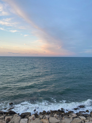 B9C64C18-2455-460B-8750-82B654A57C6E.jpeg