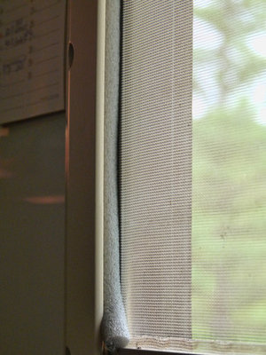 P1050033_klein.JPG