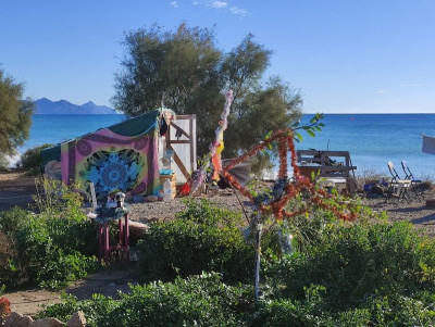 13593 Happy Hippie Beach.jpg