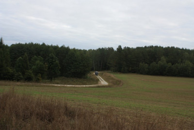 15.JPG