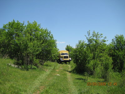 IMG_3344.JPG