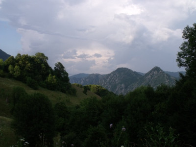 DSCF0288.JPG