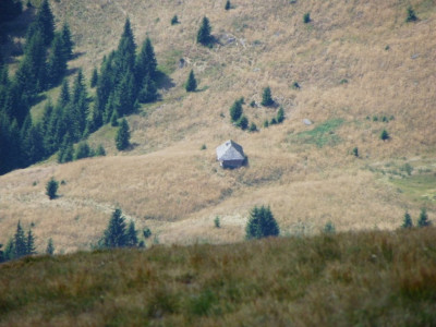 IMGP3784.JPG
