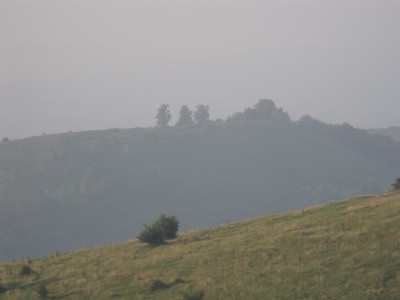 DSCF1955.JPG