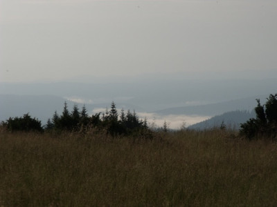 DSCF0900.JPG