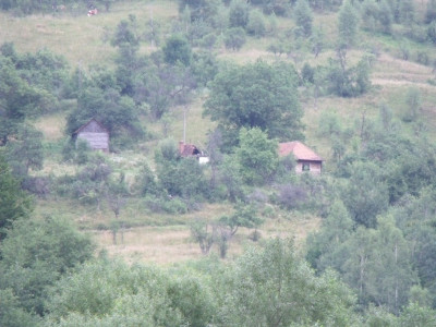 DSCF1900.JPG