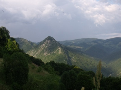 DSCF0279.JPG