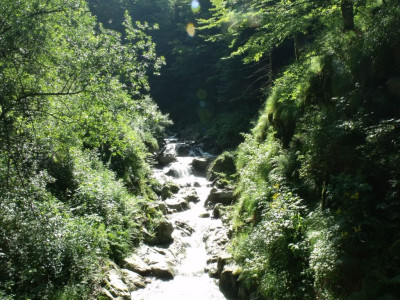 DSCF0466.JPG