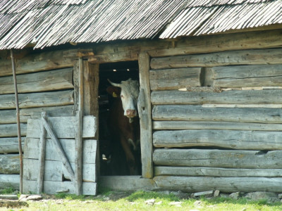 PICT5004.JPG