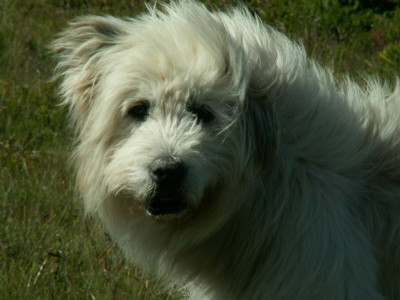 PICT6794.JPG