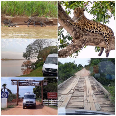 Pantanal