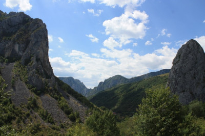 1 (114).JPG