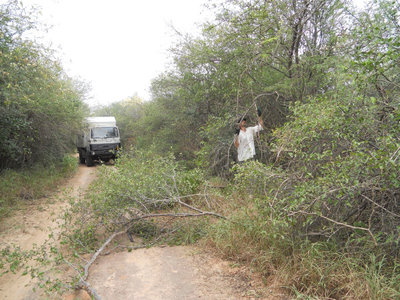 DSCN0289.JPG