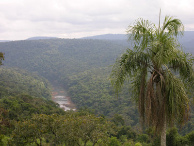 DSCN6767.JPG