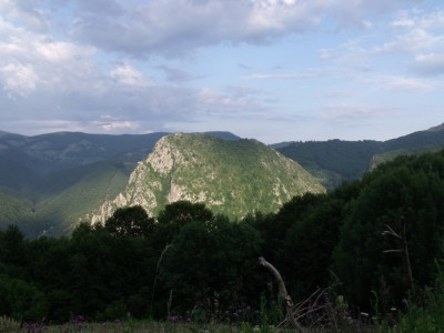 DSCF0281.JPG