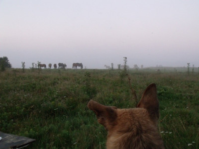 DSCF1979.JPG