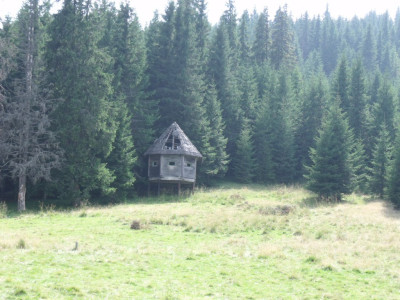 DSCF3017.JPG