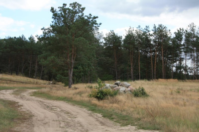 7.JPG