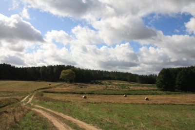 19.JPG