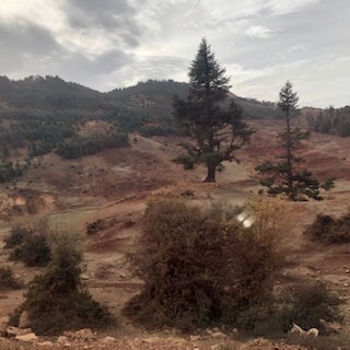 760D7F72-4160-4297-854D-F810E7797655.jpeg