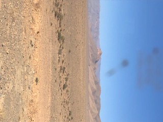 7CD2D139-7BE9-4AAD-ABCD-E2FB10FBCE69.jpeg