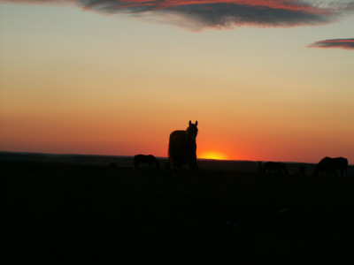 PICT4423.JPG